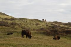 Ruiterexcursie in het Kraansvlak. Foto: Louise Prevot