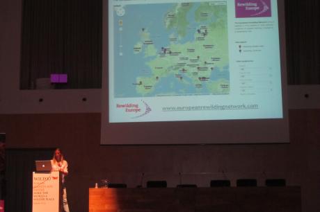 Wild Wildernis Congres. Foto: Esther Rodriguez