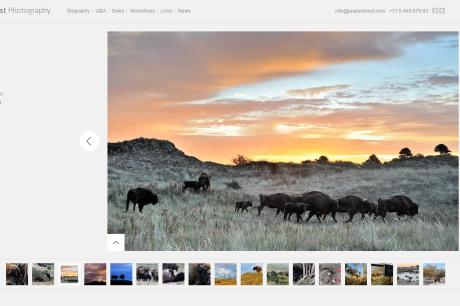Website Jasper Doest