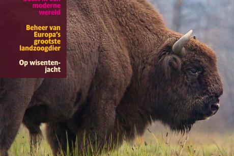 Vakblad Natuur Bos Landschap, wisentspecial