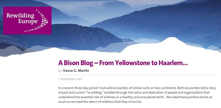 Blog Rewilding Europe